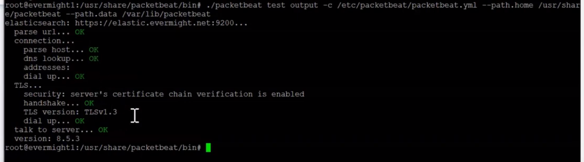 Verify packetbeat configuration